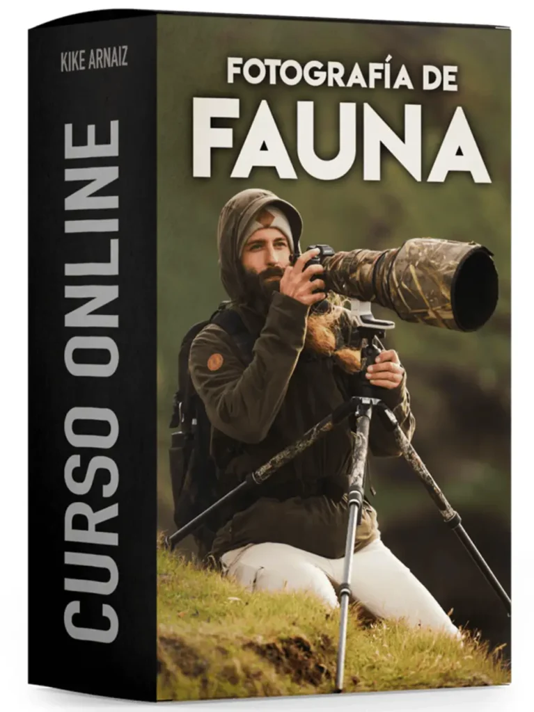 Curso de fotografía de fauna de Kike Arnáiz