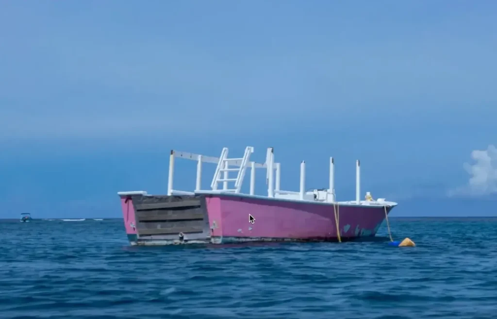 Herramienta de sustitución de objetos de Luminar Neo: barco reemplazado por ballena.