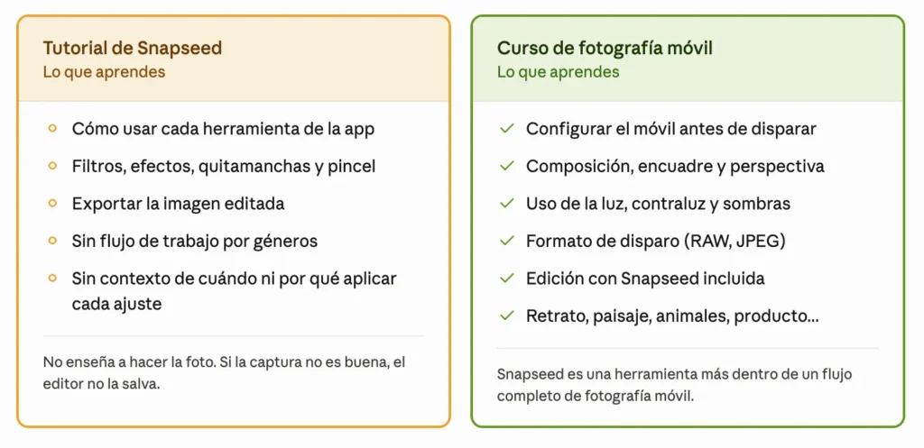Comparativa tutorial Snapseed vs curso de fotografía móvil