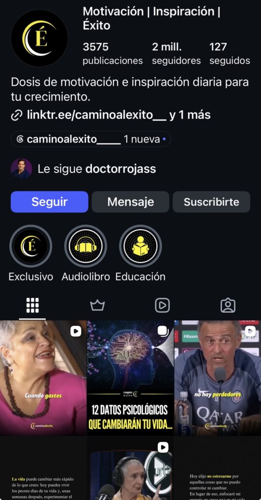 Ejemplo de cuenta monetizada en Instagram.