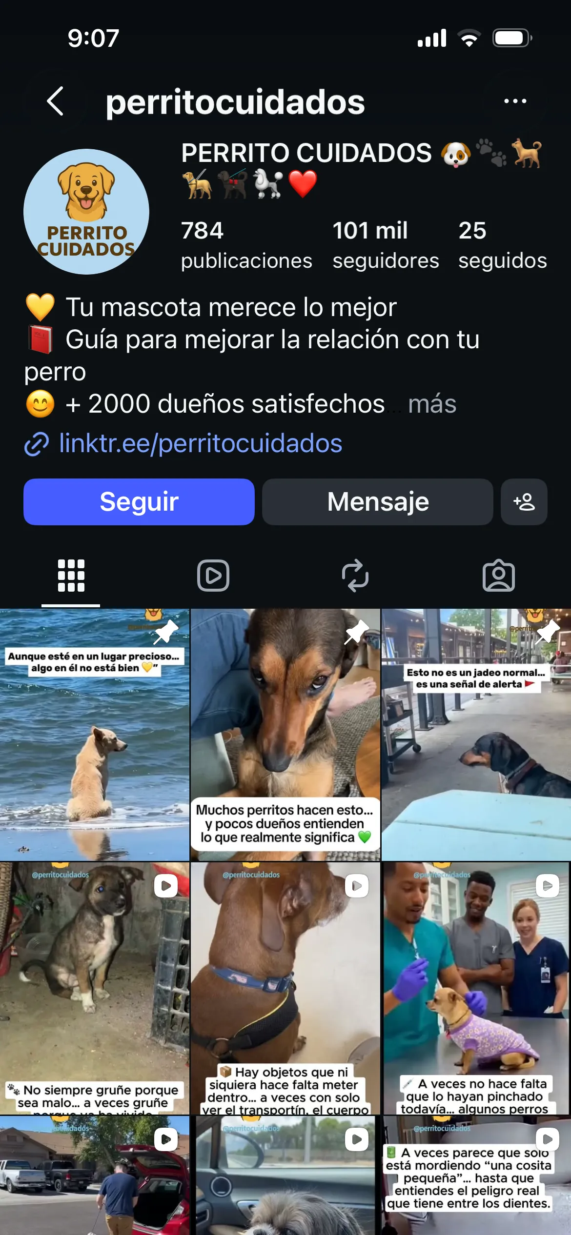 Captura del perfil de Instagram @perritocuidados, cuenta anónima de nichos de mascotas gestionada con el método de Monetizagram.