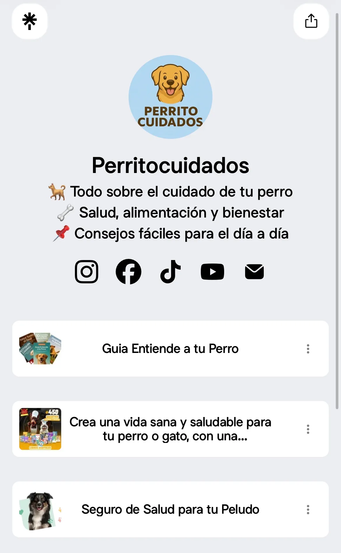 Captura del Linktree en la bio de @perritocuidados, con varios productos enlazados.